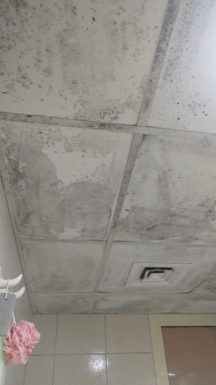 Before roof cleaning service in Sharjah