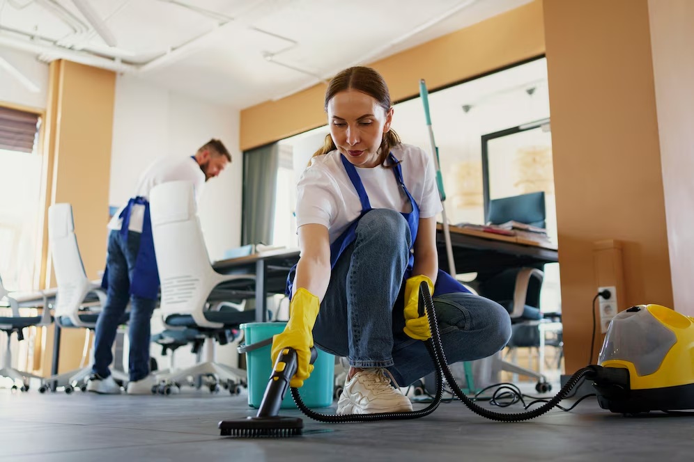 Professional cleaning service
